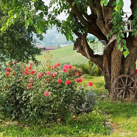 Gasthaus Agriturismo Albarossa Nizza Monferrato Exterior foto