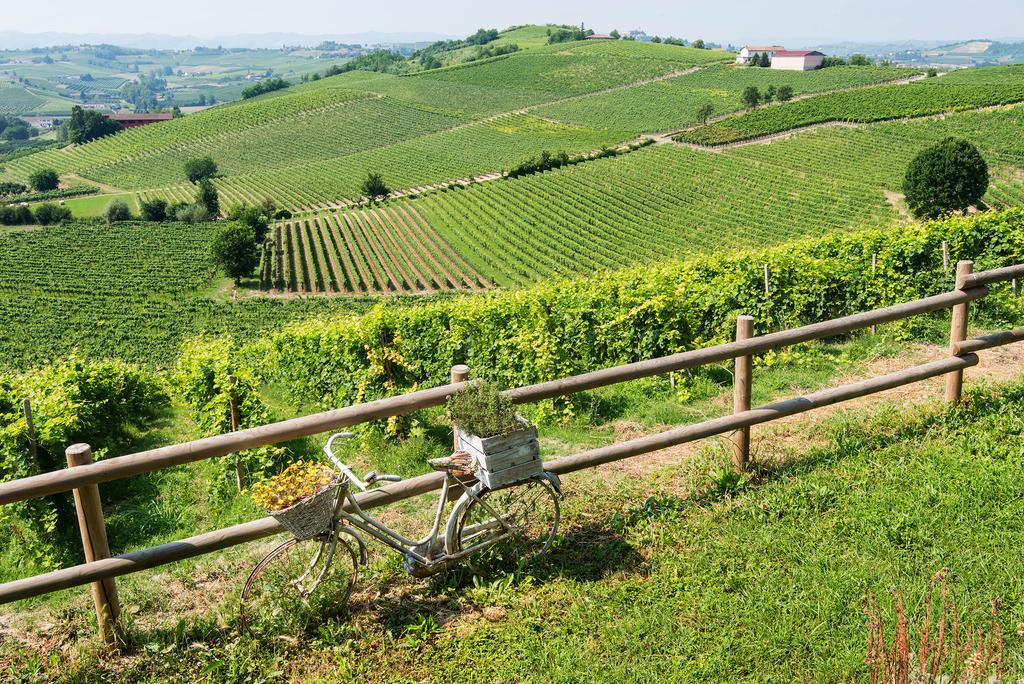 Gasthaus Agriturismo Albarossa Nizza Monferrato Exterior foto