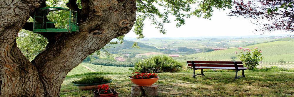 Gasthaus Agriturismo Albarossa Nizza Monferrato Exterior foto