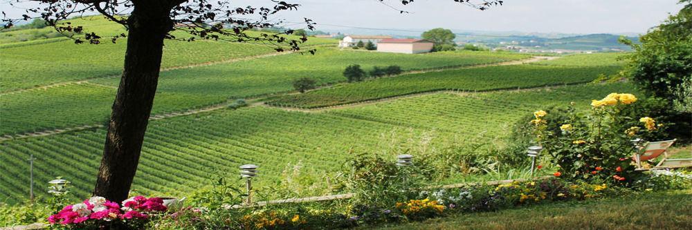 Gasthaus Agriturismo Albarossa Nizza Monferrato Exterior foto