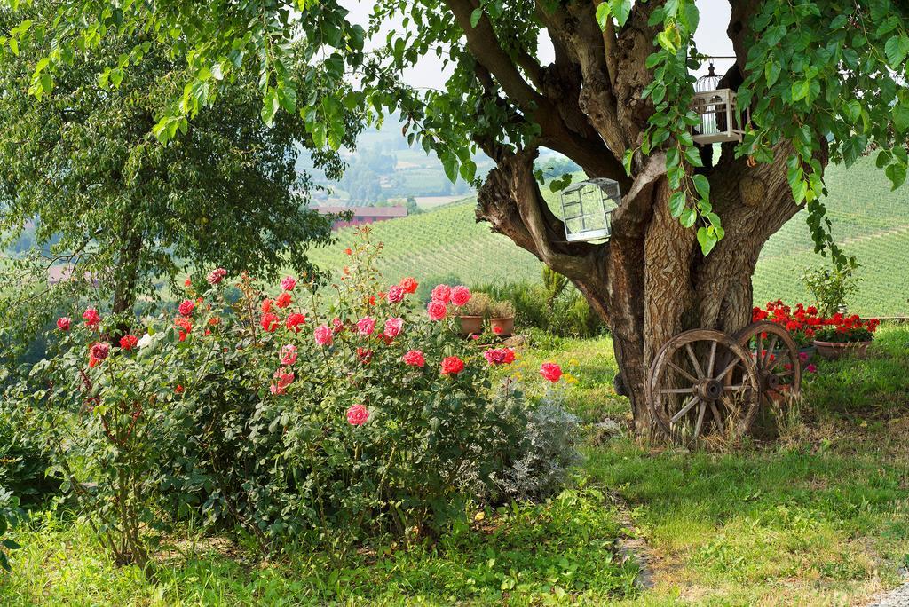 Gasthaus Agriturismo Albarossa Nizza Monferrato Exterior foto