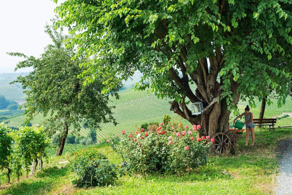 Gasthaus Agriturismo Albarossa Nizza Monferrato Exterior foto