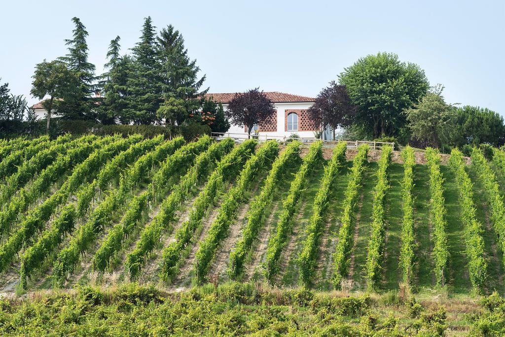 Gasthaus Agriturismo Albarossa Nizza Monferrato Exterior foto